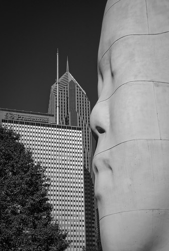 november autumn windows portrait urban blackandwhite sculpture eye fall monochrome face statue architecture buildings mouth landscape nose cityscape display patterns towers interface chitown exhibit lips publicart millenniumpark theloop resin downtownchicago highrises cookcounty prudentialbuilding chicagoillinois jaumeplensa thewindycity cityofchicago tamron18270 nikond5100 lightroom5 1004portraits lookintomydreamsawilda