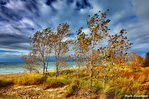 autumn trees sky lake seascape fall beach nature grass leaves sunshine weather clouds outdoors leaf sand nikon michigan dunes great lakes sigma 1020mm d5100