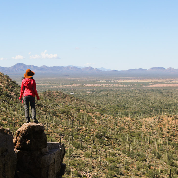  Valley View Overlook Trail (11 Beautiful Things to Do in Saguaro National Park)/
