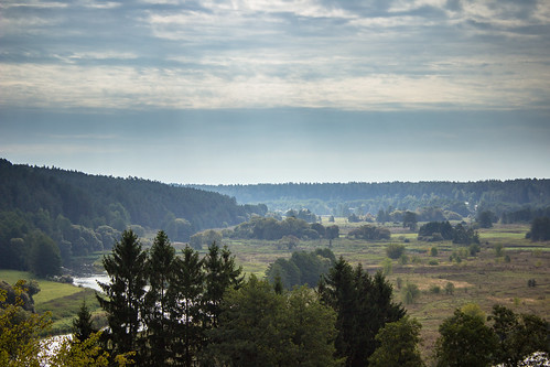 panorama nature forest view lithuania dzūkija merkinė