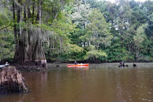 Sparkleberry Swamp with LCU-45