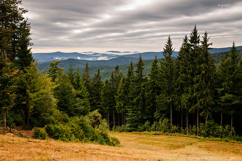 park wood sky mountains nature forest nationalpark nikon czech hills tamron bohemian šumava národní leniklas d300s