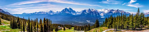 park blue sky cliff mountain plant mountains tree forest landscape rockies rocks outdoor rocky glacier adventure trail valley parkway highrise banff serene range icefields