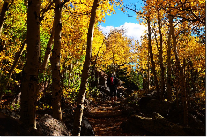 2015 Rockies in Fall, Bear Lake Area (7)