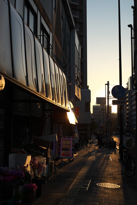 東京路地裏散歩 2015年12月20日