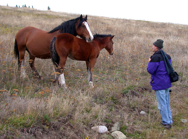 Al practices being a 'horse whisperer' in the hills above Merritt, BC