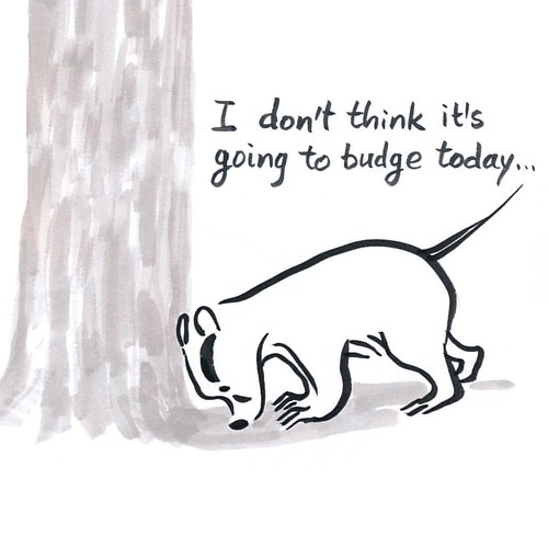 It's not gonna budge... #badger #badgerlog #inktober #inktober2015
