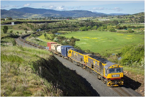 australia tasmania tasrail train freighttrain goodstrain trclass tr caterpillar diesellocomotive canoneos550d ef35350mm13556lusm trainsintasmania stevebromley tr11 brighton scenery tasmaniancountryside tasmanianscenery