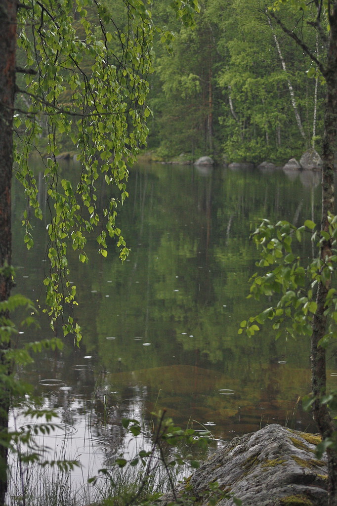 Suomen kansallispuistot