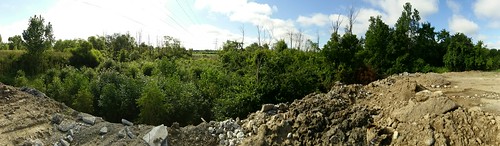 ohio panorama habitat hotspot fostoria hancockcounty lakemosier ebird