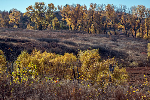 park autumn color tree fall grass state ks canyon hills willow cottonwood kansas prairie smoky horsethief kanopolis