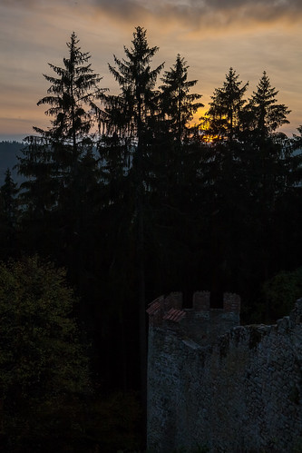 forest tschechischerepublik burg landstejn jihočeskýkraj landstein staréměstopodlandštejnem