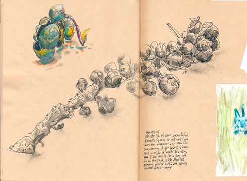 Sketchbook #93: Brussels Sprout