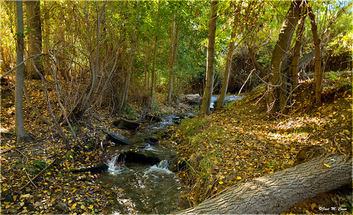 otoño autumn aldeire paisaje landscape granada arbol tree bosque agua water río river nikond5100 españa spain