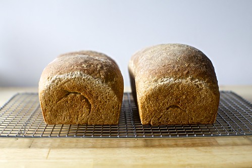 oat and wheat sandwich bread, from the oven
