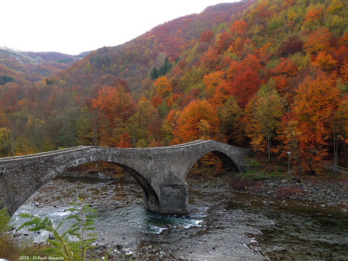 bridge autumn italy bridges ponte torrent emiliaromagna ponti colorsofautumn pievepelago torrenti coloridautunno pontedellafola scoltenna torrentescoltenna