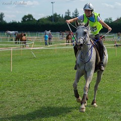 When you do what you fear most, then you can do anything. 🏇 #endurancehorse #horse #Monpazier #France - Photo of Saint-Avit-Sénieur