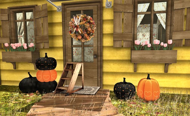 Lovely Pumpkins from Imeka for Mix