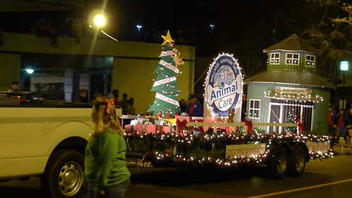 Greenville Christmas Parade 2015-128