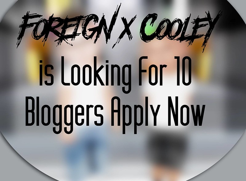 TD bloggers wanted