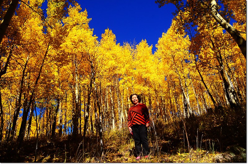 Fall colors at Kenosha Pass, Colorado (5)