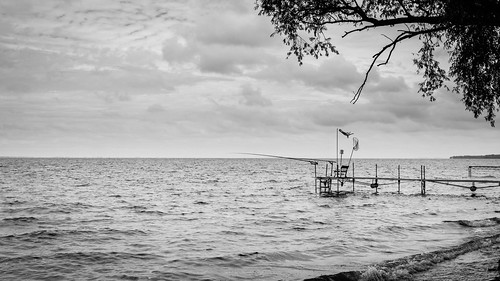 sky blackandwhite bw tree water clouds pier fishing dock cloudy empty overcast windsock fishingpoles lakewinnebago 2015 privpublic