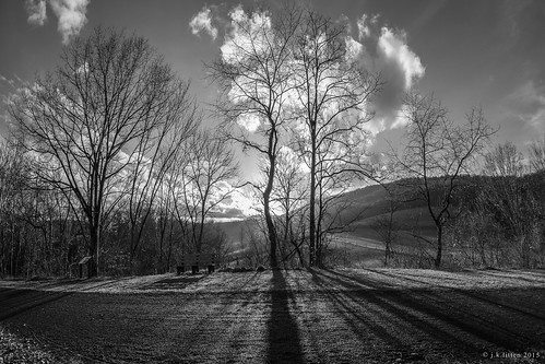 trees sunset blackandwhite shadows maryland solstice curve lavale 2015 alleganycounty canoneos7d helmstetters rokinon8mmf35fisheye