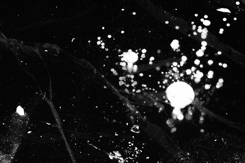 winter snow ice mine quebec ottawa bubbles bubble photowalk cave wallingford mulgraveetderry wallingfordbackmine eos600d canont3i mulgraveandderry brownknowser