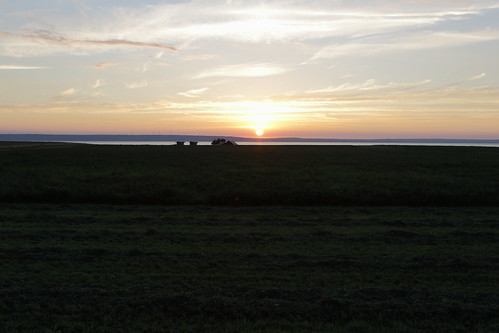 sunset lake field view vy vättern solnedgång sjö visingsö fält eos7dmkii