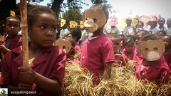 @Regrann from @ecopalimpsest  -  At the Bandro Festival in Andreba-Gara, kids dressed as the bandro (lemur endemic only to the lake Alaotra) walk around the village during a carnival. This 2 days festival is aimed at sensibilisation of local population to