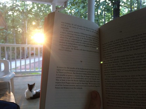 sunset cat reading book peaceful porch laurent binet hhhh