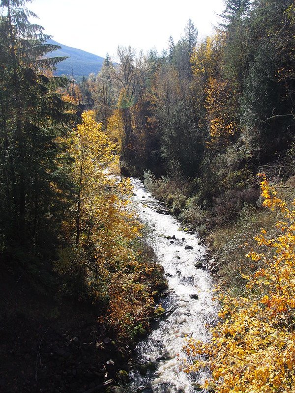 Scatter Creek