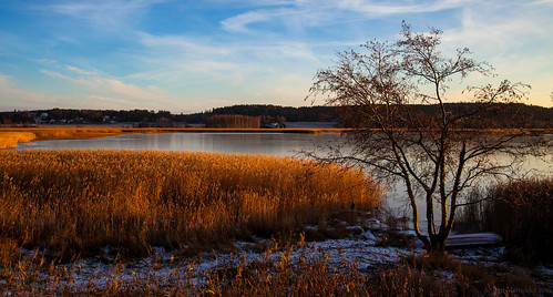 winter nature outdoor sunset light colours landscape sea seabay icecover tree sky clouds suomi finland piikkiönlahti piikkiö canonef2870mmf3545ii ice