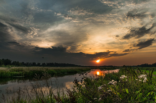 flowers sunset sky plants sun reflection nature water clouds river landscape pentax poland sigma1750mmf28 piotrfil