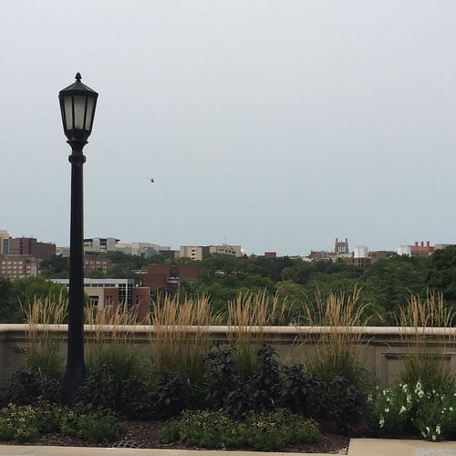 Lamp-post landscape, in front of the Old Capitol. Bonus: helicopter flying west (I don't know why there are always so many helicopters overflying #IowaCity).