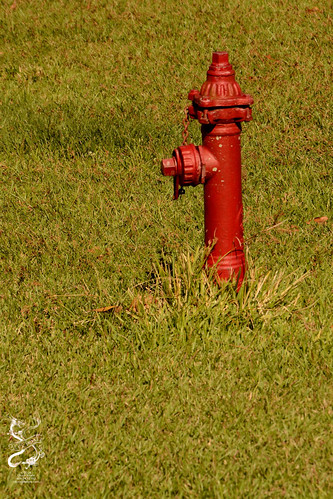 hydrant firehydrant dequincy louisiana