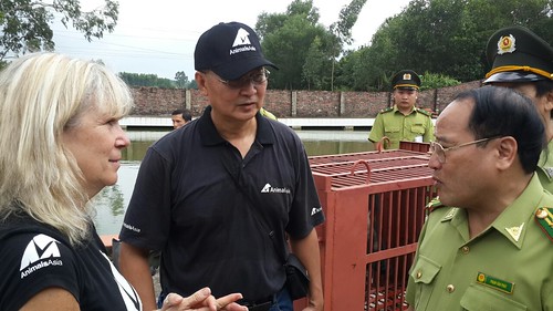 Animals Asia's founder and CEO Jill Robinson MBE and Vietnam Director Tuan Bendixsen meet Quang Ninh Forestry Director Pham Van Phat, #ForgetMeNot rescue 2015