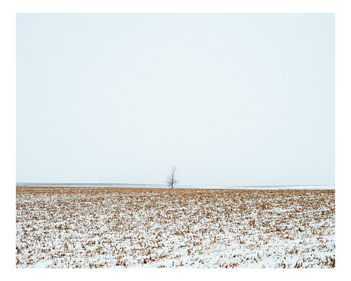 winter snow canada tree rural landscape quebec fields