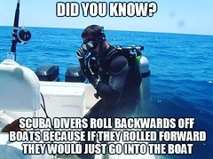DID U?! 😬☺️   All scuba, spear fishing and snorkeling equipments available @mahigeerwatersports   #spearfishing #scuba #scubadiving #snorkling #mahigeerwatersports #fishing #fishingislife #fish #fishin #fishon #igers #offshorefishing #off