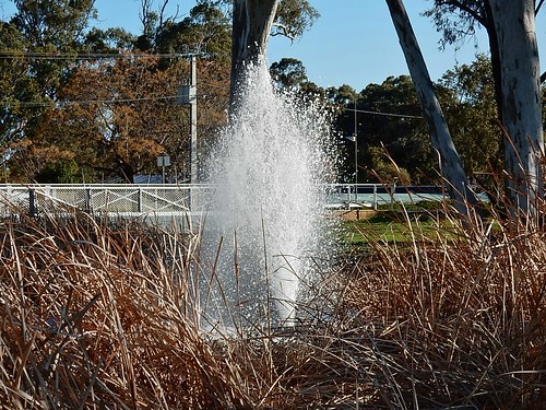 bridge fountain reeds spray jamestown