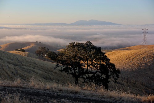 northerncalifornia sunrise dawn sunup oaktrees mountdiablo fairfieldca solanocounty oakridgetrail serpasranchopenspace