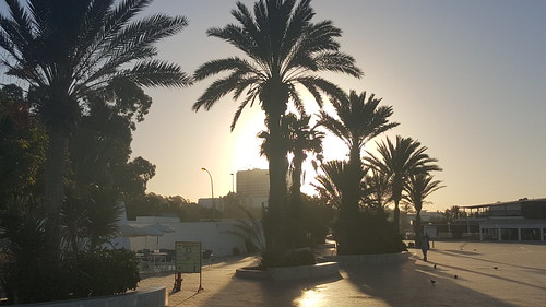 Day 5 - Agadir by Big Al!
