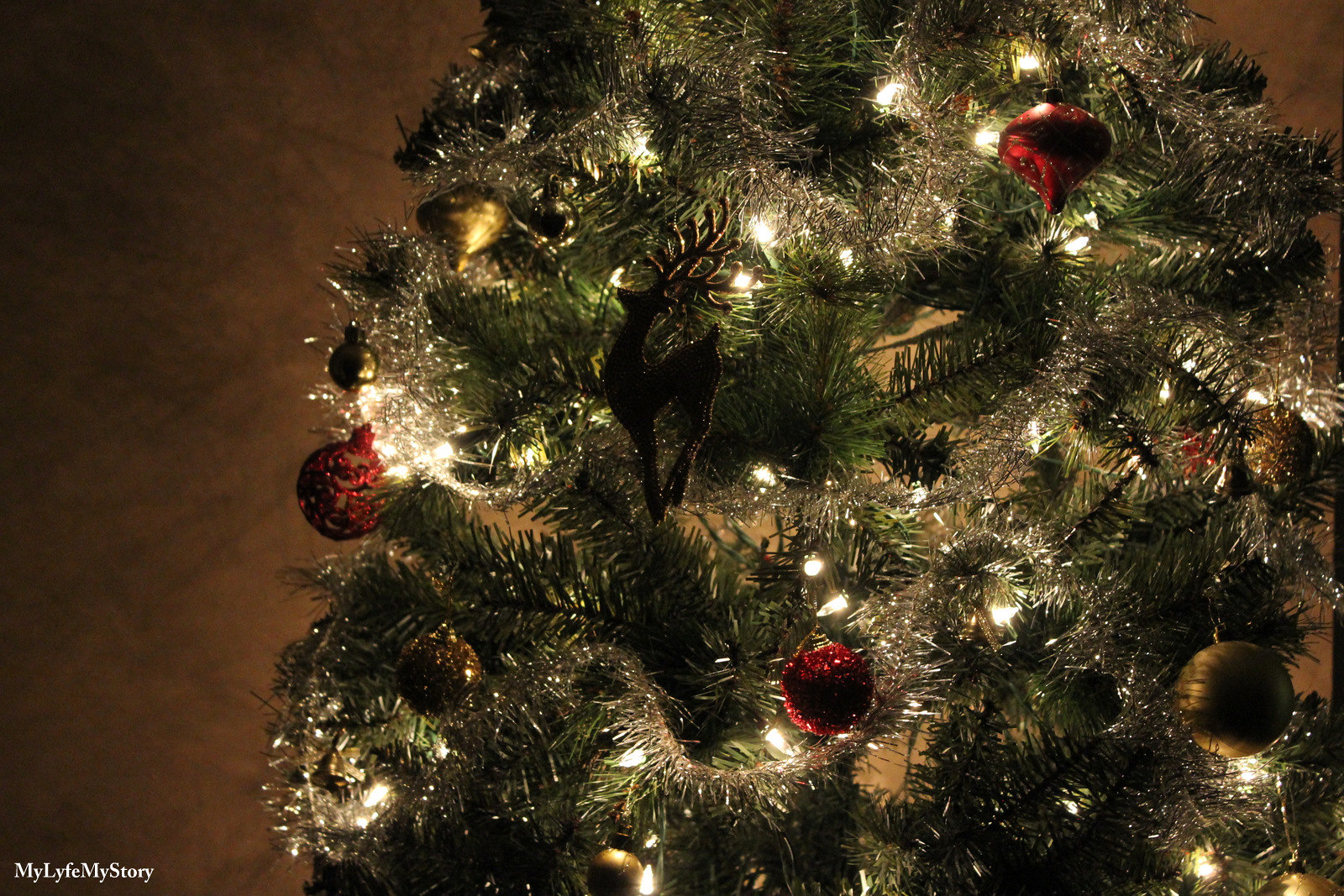 My Family Christmas Tree (11)