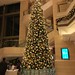 China - Christmas tree
