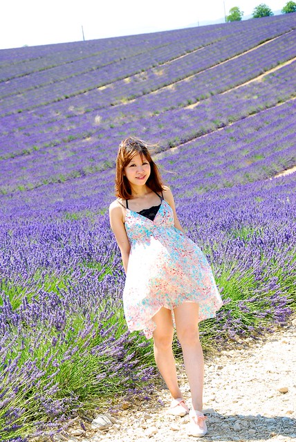 150711 Ivy & Provence lavender