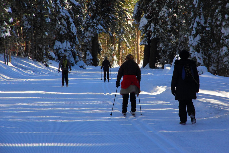 IMG_1107 Cross Country Skiing on Glacier Point Road