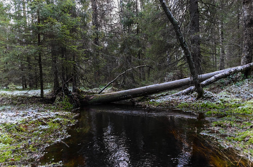 nature finland river nikon fi ylöjärvi pirkanmaa riuttaskorpi