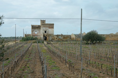 italy landscape europe wine sicily mazaradelvallo ajello