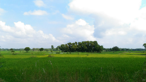rhivu landscape westbengal india cropfield clouds travel love bengal rhivuray beautiful asia