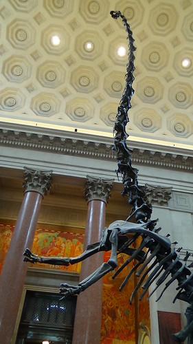 New York Natural History Museum Aug 15 (4)